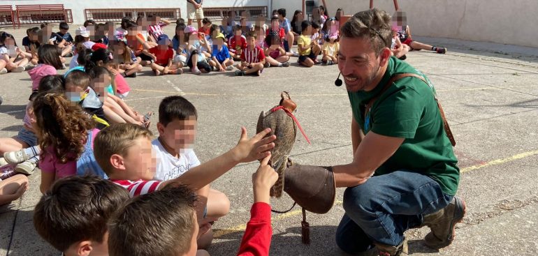 Exhibición de cetrería en un colegio.